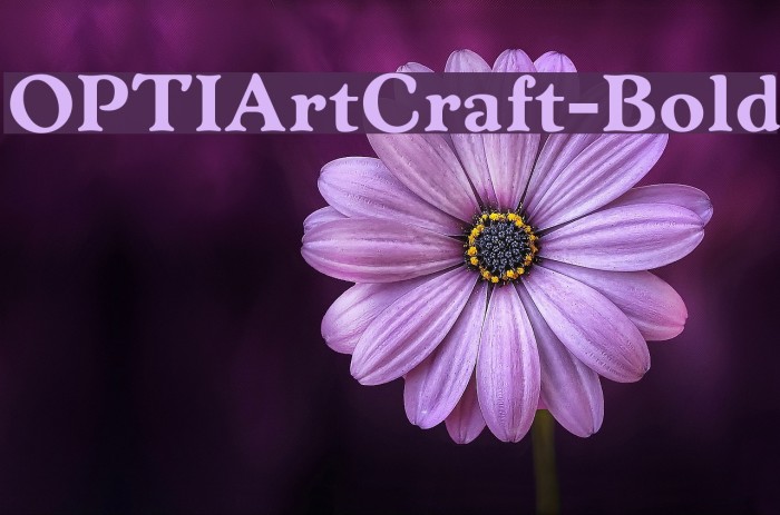 OPTIArtCraft-Bold Font examples