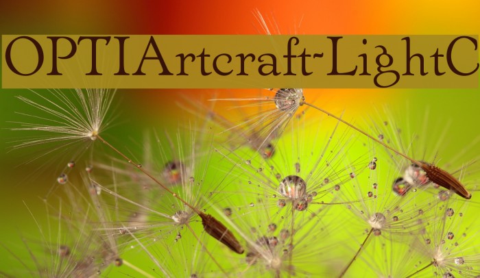 OPTIArtcraft-LightC Font examples