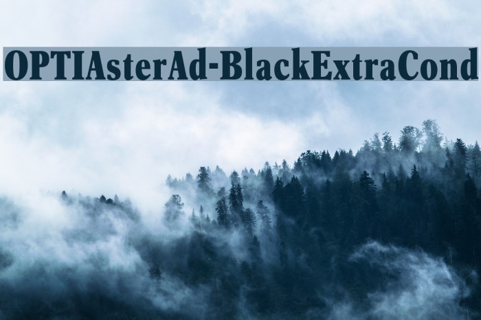OPTIAsterAd-BlackExtraCond Шрифта examples
