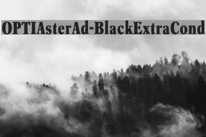 OPTIAsterAd-BlackExtraCond Font examples