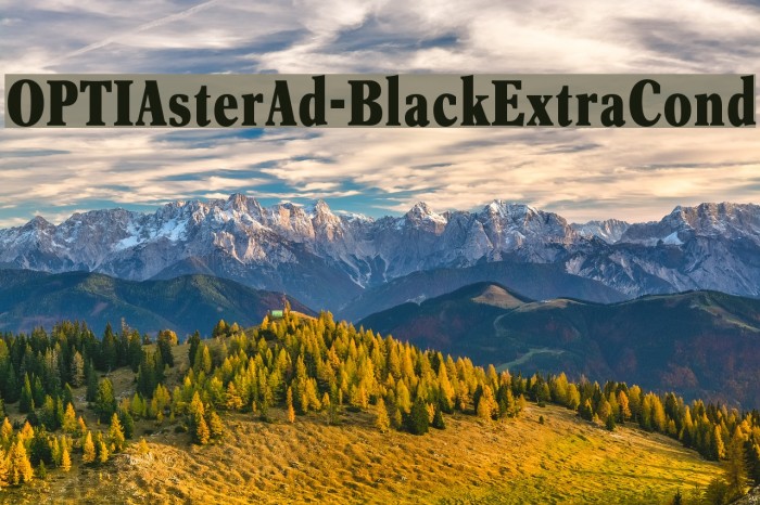 OPTIAsterAd-BlackExtraCond Шрифта examples