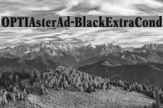 OPTIAsterAd-BlackExtraCond Font examples