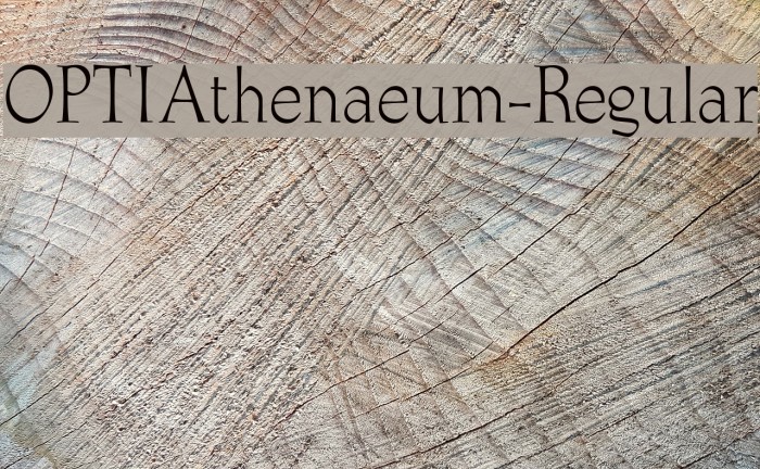 OPTIAthenaeum-Regular フォント examples
