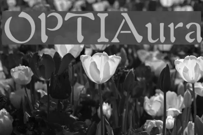 OPTIAura Font examples