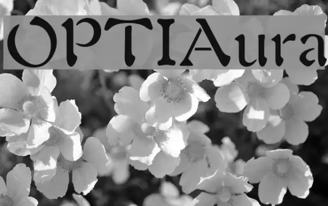 OPTIAura Font examples