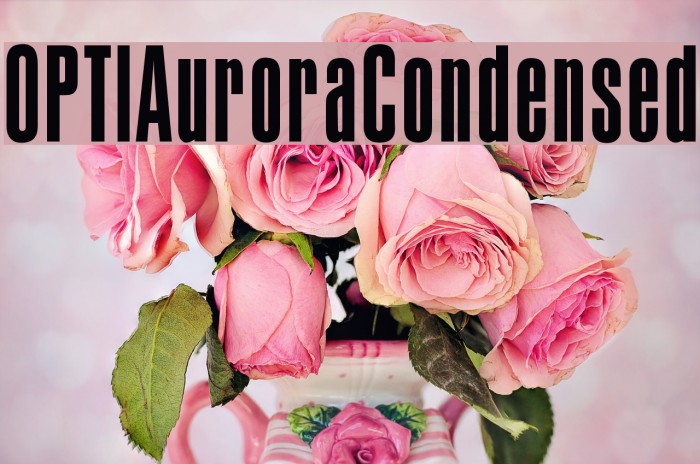 OPTIAuroraCondensed Font examples