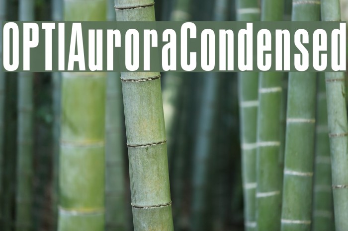 OPTIAuroraCondensed Font examples