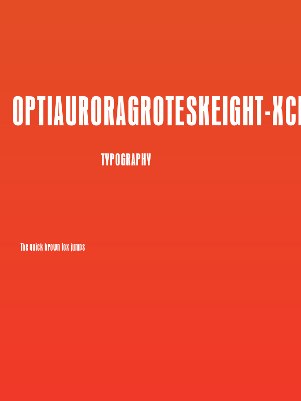 OPTIAuroraGroteskEight-XCn Poster