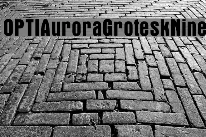 OPTIAuroraGroteskNine Font examples