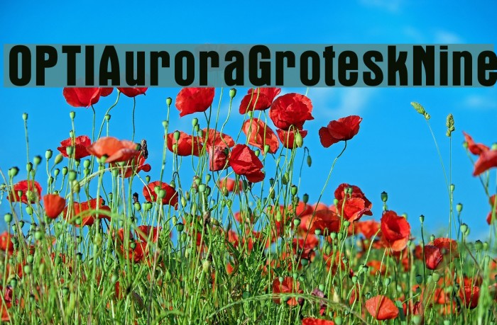 OPTIAuroraGroteskNine Font examples