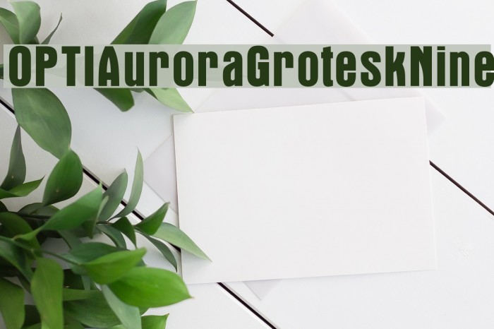 OPTIAuroraGroteskNine Font examples