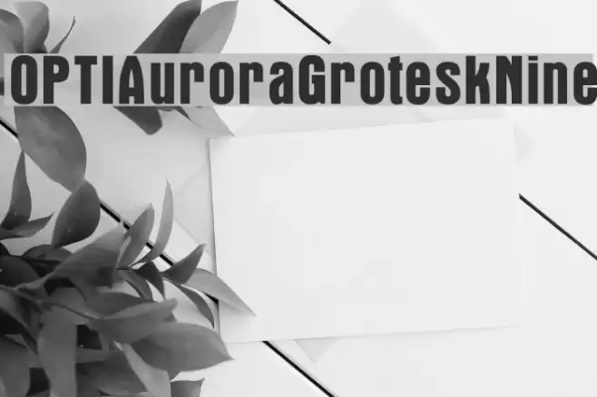 OPTIAuroraGroteskNine Font examples