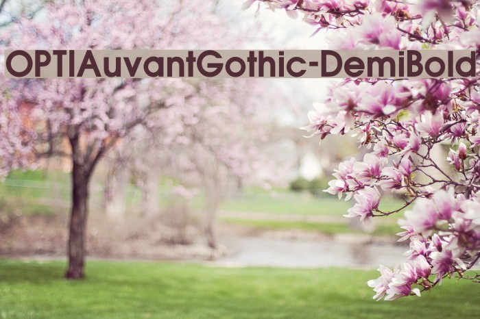 OPTIAuvantGothic-DemiBold Font examples