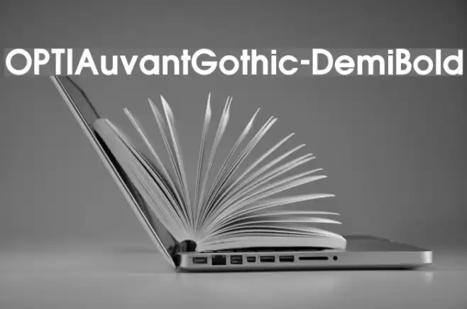 OPTIAuvantGothic-DemiBold Font examples