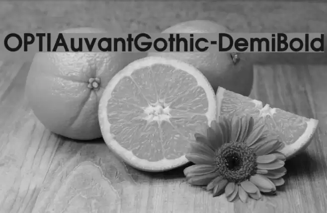 OPTIAuvantGothic-DemiBold Font examples