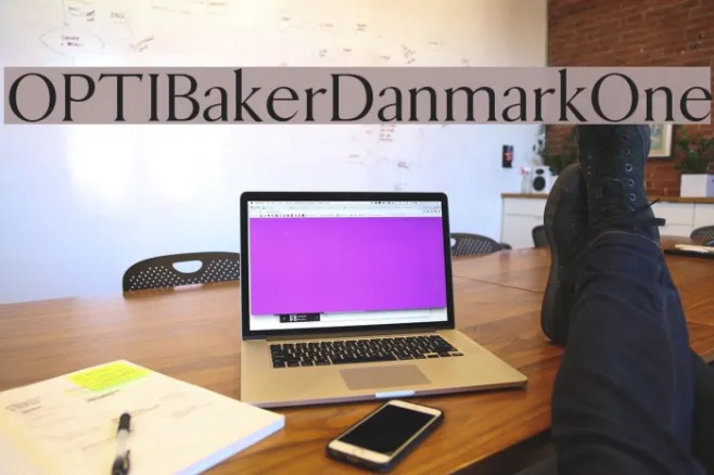 OPTIBakerDanmarkOne Example 2