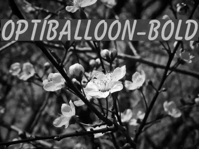 OPTIBalloon-Bold Font examples