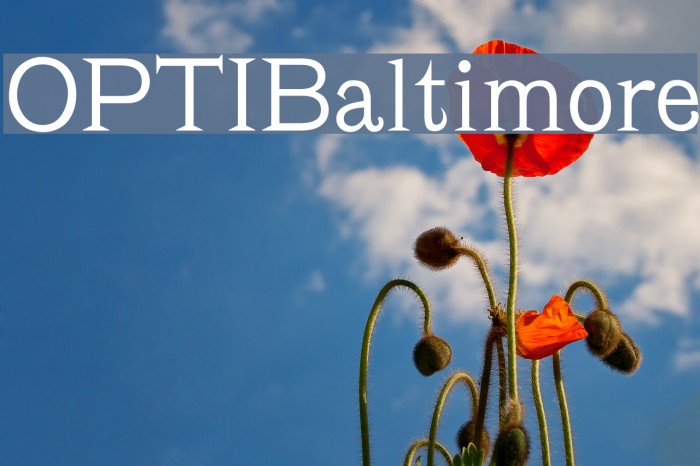 OPTIBaltimore Font examples