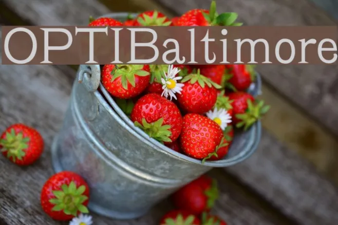 OPTIBaltimore Example 2