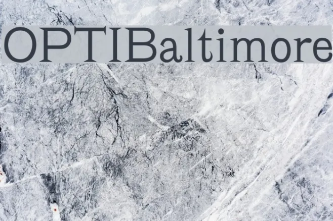 OPTIBaltimore Example 3