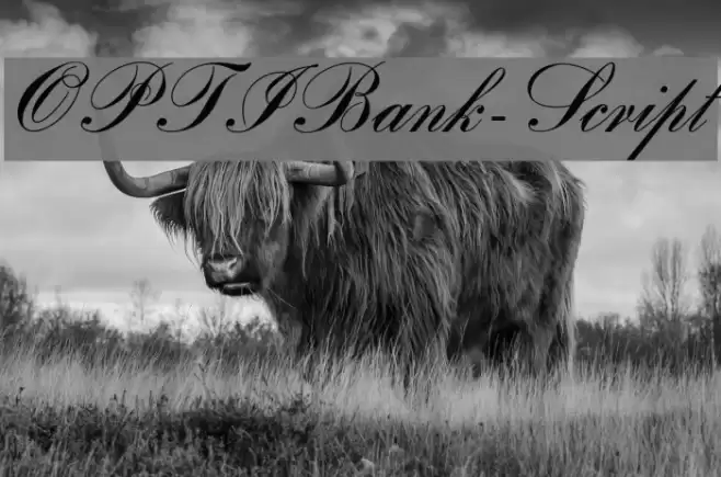 OPTIBank-Script Fonte examples