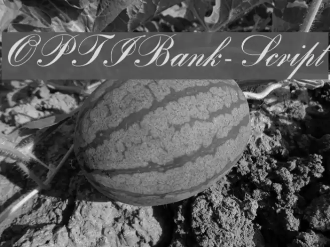 OPTIBank-Script Fonte examples