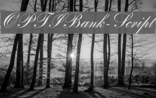 OPTIBank-Script Fonte examples