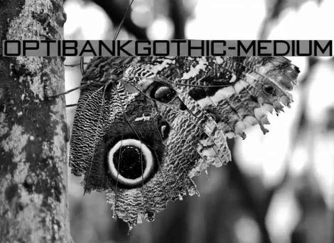 OPTIBankGothic-Medium Font examples