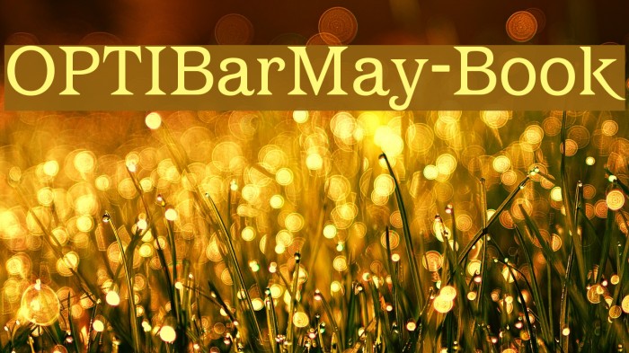 OPTIBarMay-Book Font examples