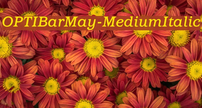 OPTIBarMay-MediumItalic Font examples