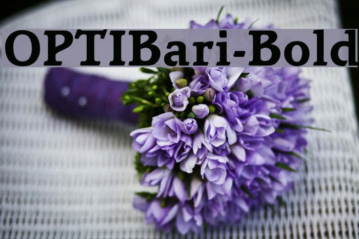 OPTIBari-Bold Font examples