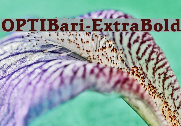 OPTIBari-ExtraBold Font examples