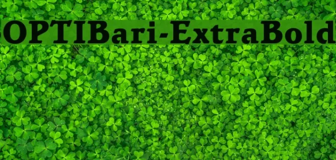 OPTIBari-ExtraBold Example 3
