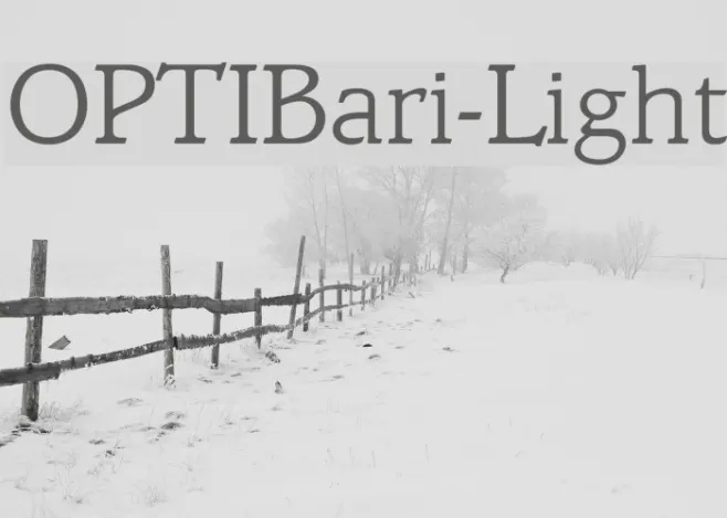 OPTIBari-Light Example 1