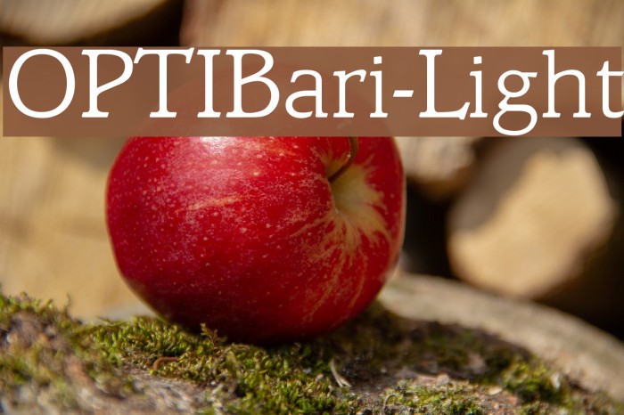 OPTIBari-Light Font examples