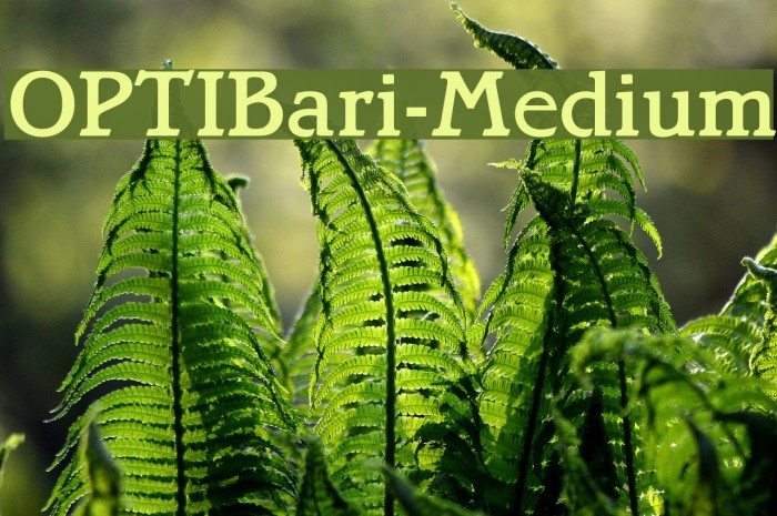 OPTIBari-Medium Font examples