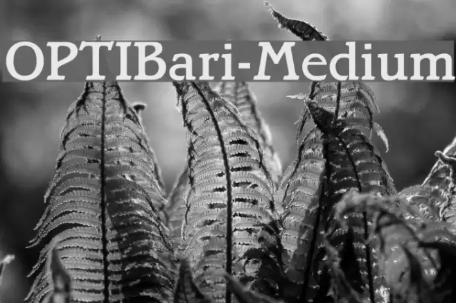 OPTIBari-Medium Polices examples