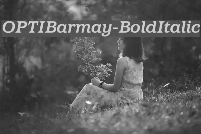 OPTIBarmay-BoldItalic Font examples
