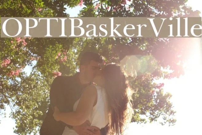 OPTIBaskerVille Example 1