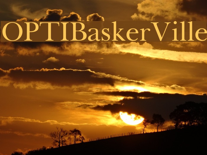 OPTIBaskerVille Font examples