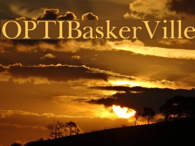 OPTIBaskerVille Example 2