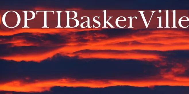 OPTIBaskerVille Example 3
