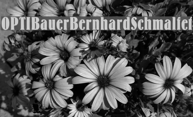 OPTIBauerBernhardSchmalfet फ़ॉन्ट examples
