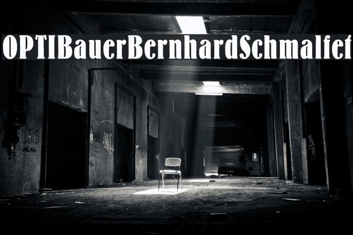 OPTIBauerBernhardSchmalfet Font examples