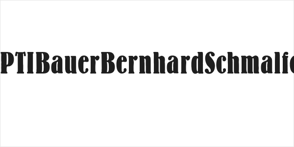 OPTIBauerBernhardSchmalfet Logo