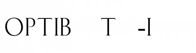 OPTIBauerText-Initials  Скачать бесплатные шрифты