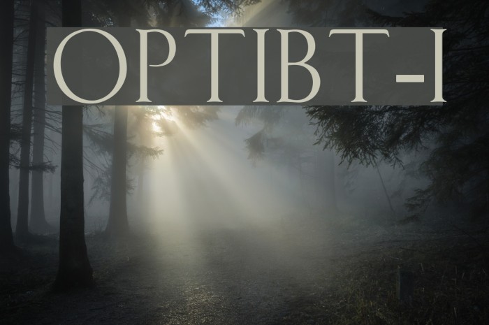 OPTIBauerText-Initials Font examples