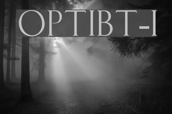 OPTIBauerText-Initials Font examples