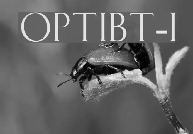 OPTIBauerText-Initials Font examples