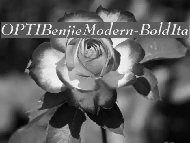 OPTIBenjieModern-BoldIta Font examples